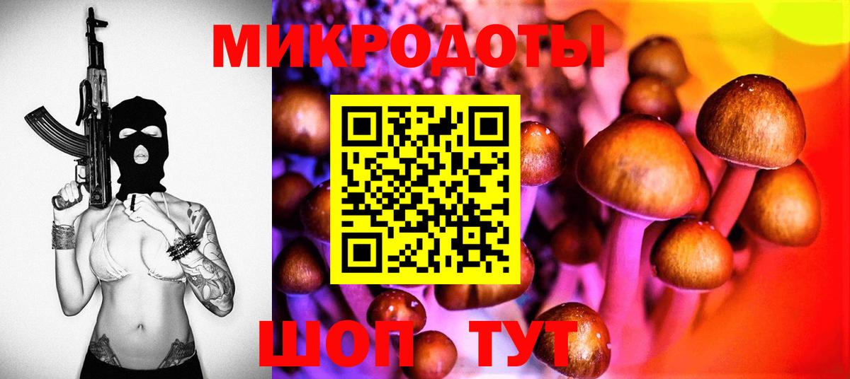 Дальнегорск  Псилоцибиновые грибы Magic Shrooms  цены   Вход с VPN  Галлюциногенные грибы мицелий 
