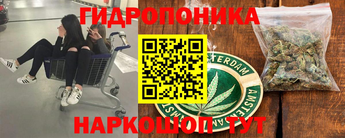 Каннабис конопля Дальнегорск